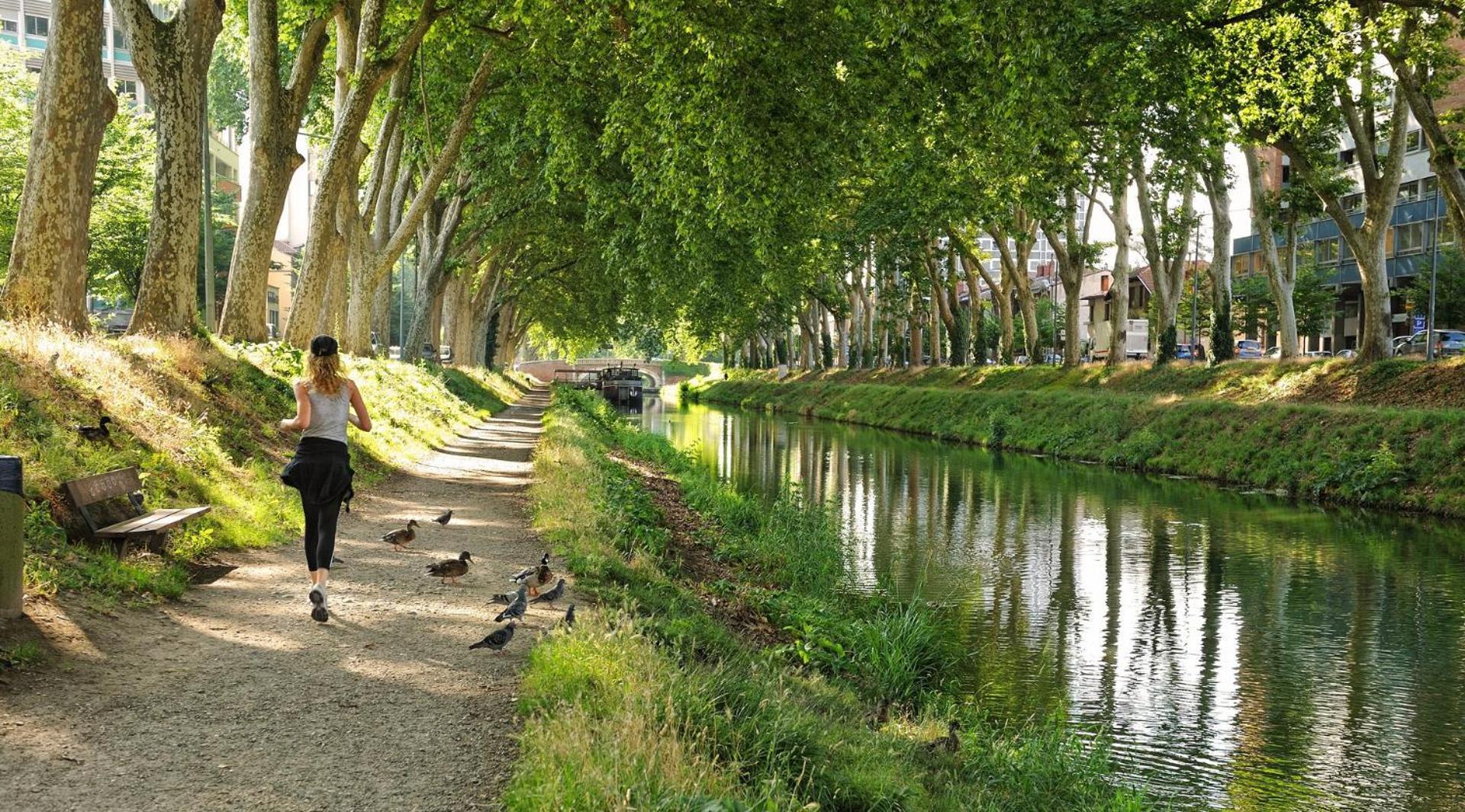 Saint-Aubin - Centre-Ville - Calme - Confortable Toulouse Bagian luar foto